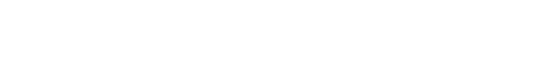Fire Services logo